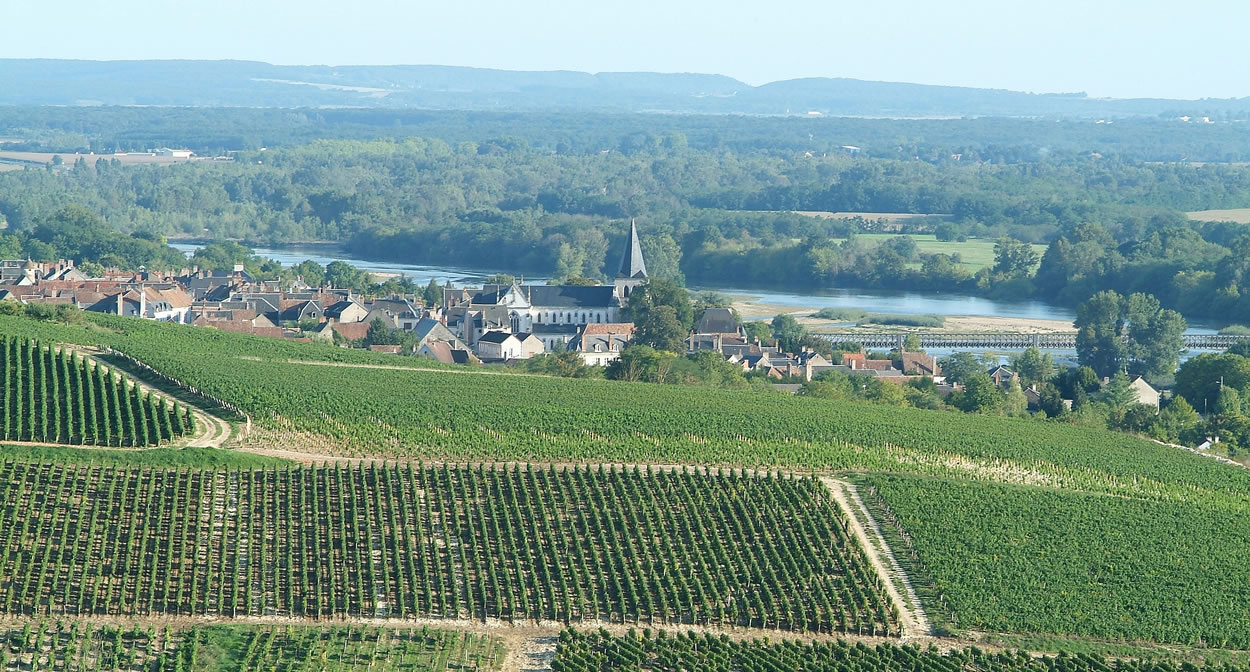 Pouilly-sur-Loire winery