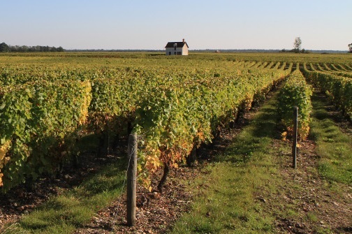 Vineyards of Valençay
