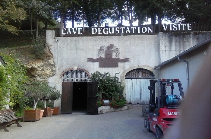 Amboise vineyard