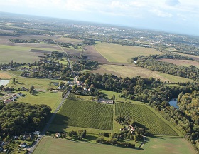 Vineyards of Pouilly-Fumé