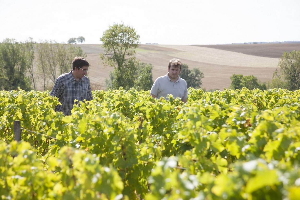 Pouilly-sur-Loire winery