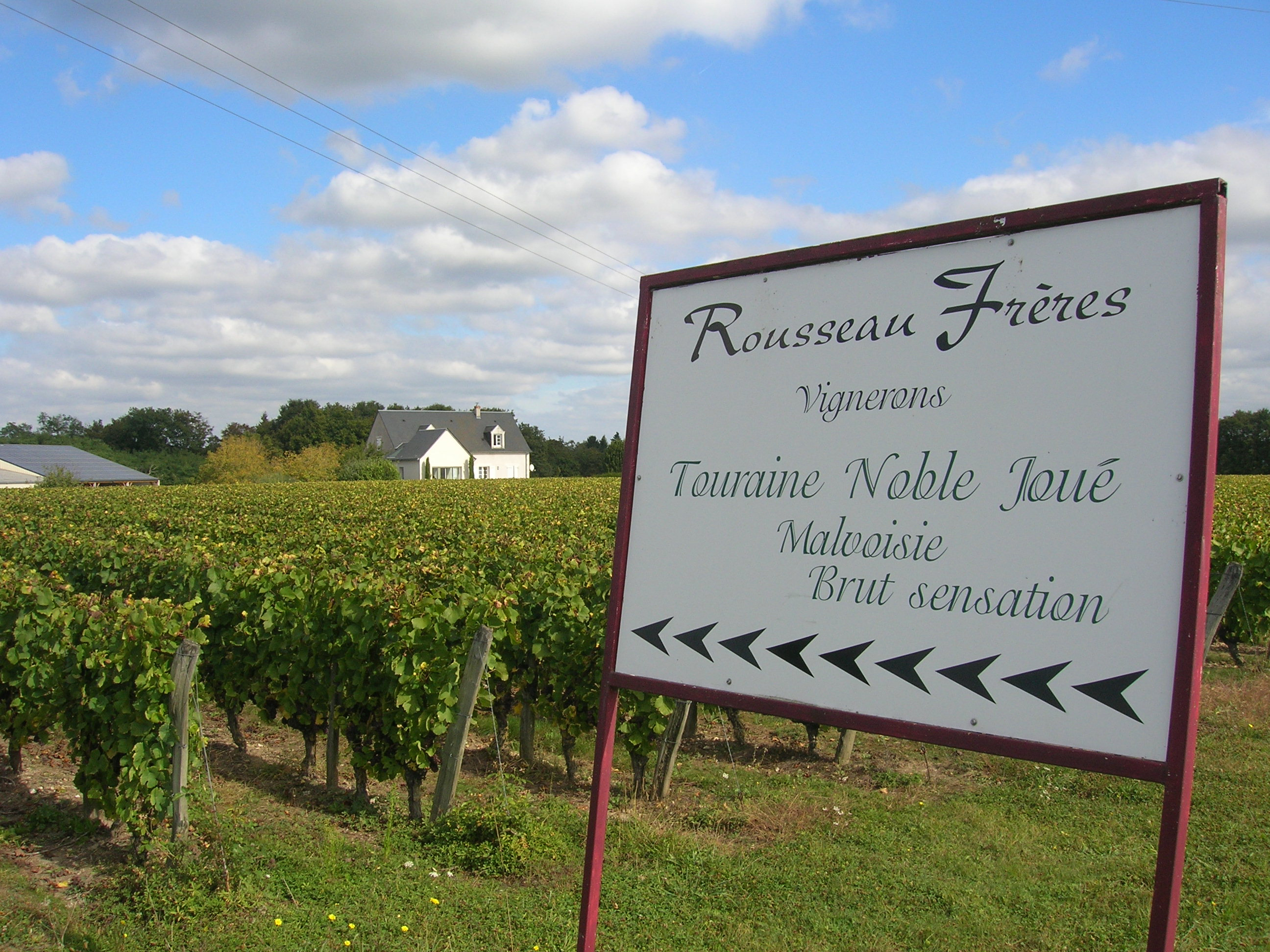 Touraine Noble-Joué vineyards
