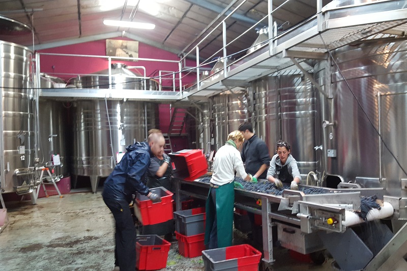 Winemakers